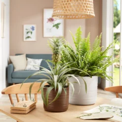 Scheurich Ripple Brown Indoor Pot - 20cm 5 Scheurich Ripple Brown Indoor Pot - 20cm -Garden Care Specialty Shop 13953255 1284987120030617