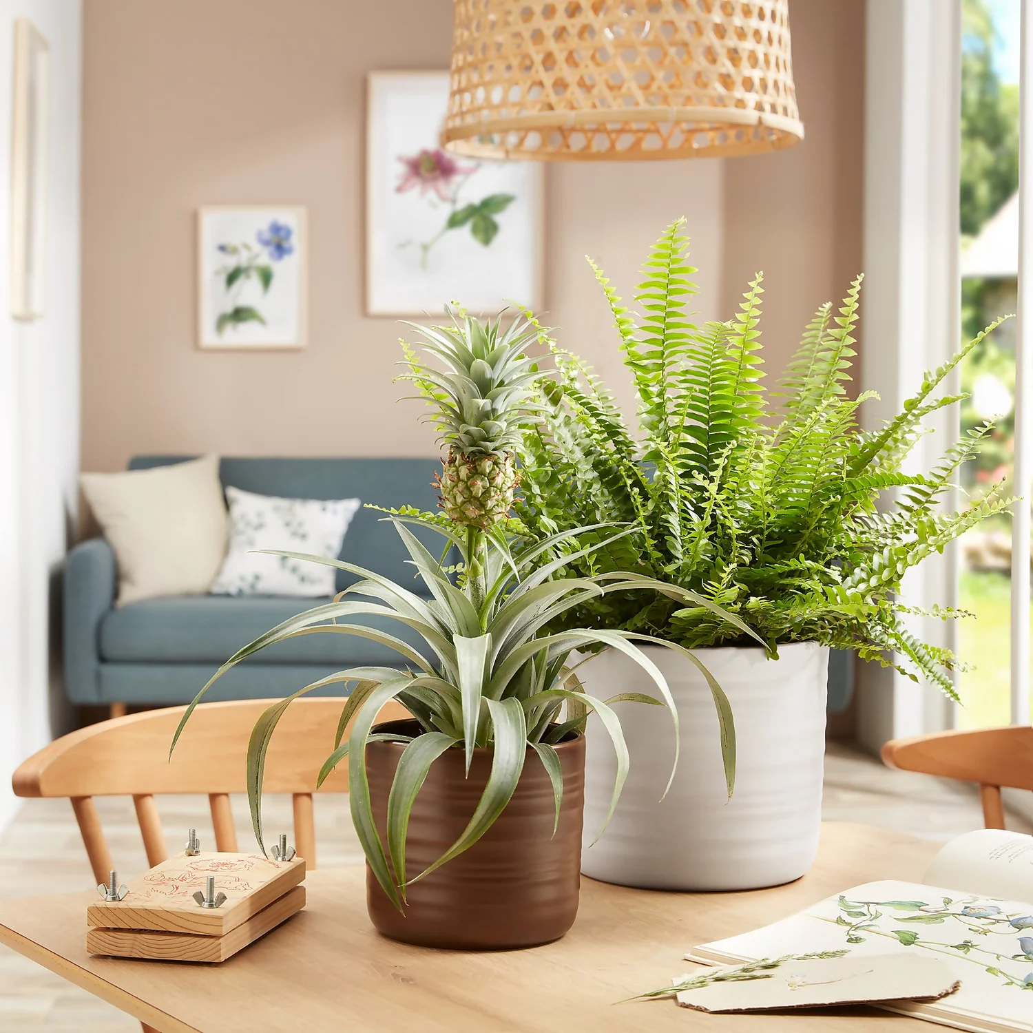 Scheurich Ripple Brown Indoor Pot - 23cm 4 Scheurich Ripple Brown Indoor Pot - 23cm - Image 2