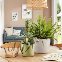 Scheurich Ripple Soft Green Indoor Pot - 17cm -Garden Care Specialty Shop 13953266 2044987119911088