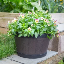 Banded Whiskey Barrel Planter - 39cm -Garden Care Specialty Shop 13973620 9525011238741097