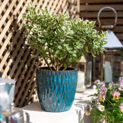 Chiswick Textured Pot Green - 24cm 9 Chiswick Textured Pot Green - 24cm -Garden Care Specialty Shop 13973630 1585011238234973