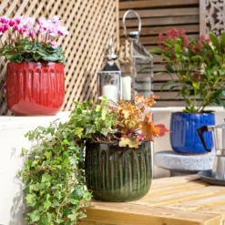 Chiswick Running Pot Blue - 24cm 11 Chiswick Running Pot Blue - 24cm -Garden Care Specialty Shop 13973640 1635011238706765