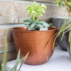 Suva Hammered Pot Copper - 31cm 11 Suva Hammered Pot Copper - 31cm -Garden Care Specialty Shop 13973652 1715011805989134