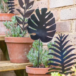 Jungle Black Ground Stakes - 45cm (Assorted Designs) 19 Jungle Black Ground Stakes - 45cm (Assorted Designs) -Garden Care Specialty Shop 13981010 1925005324441329