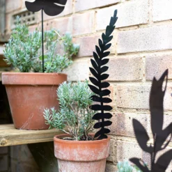 Jungle Black Ground Stakes - 45cm (Assorted Designs) 18 Jungle Black Ground Stakes - 45cm (Assorted Designs) -Garden Care Specialty Shop 13981010 1975005324413036