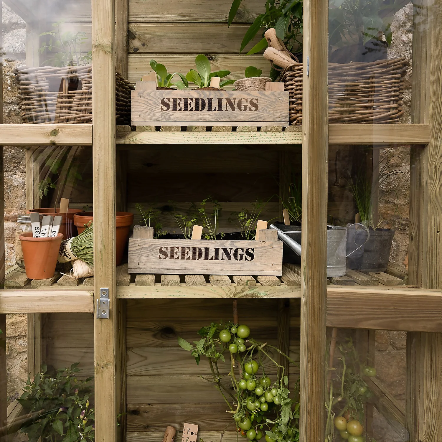 Forest Garden Georgian Wall Greenhouse With Auto Vent 6 Forest Garden Georgian Wall Greenhouse With Auto Vent - Image 4