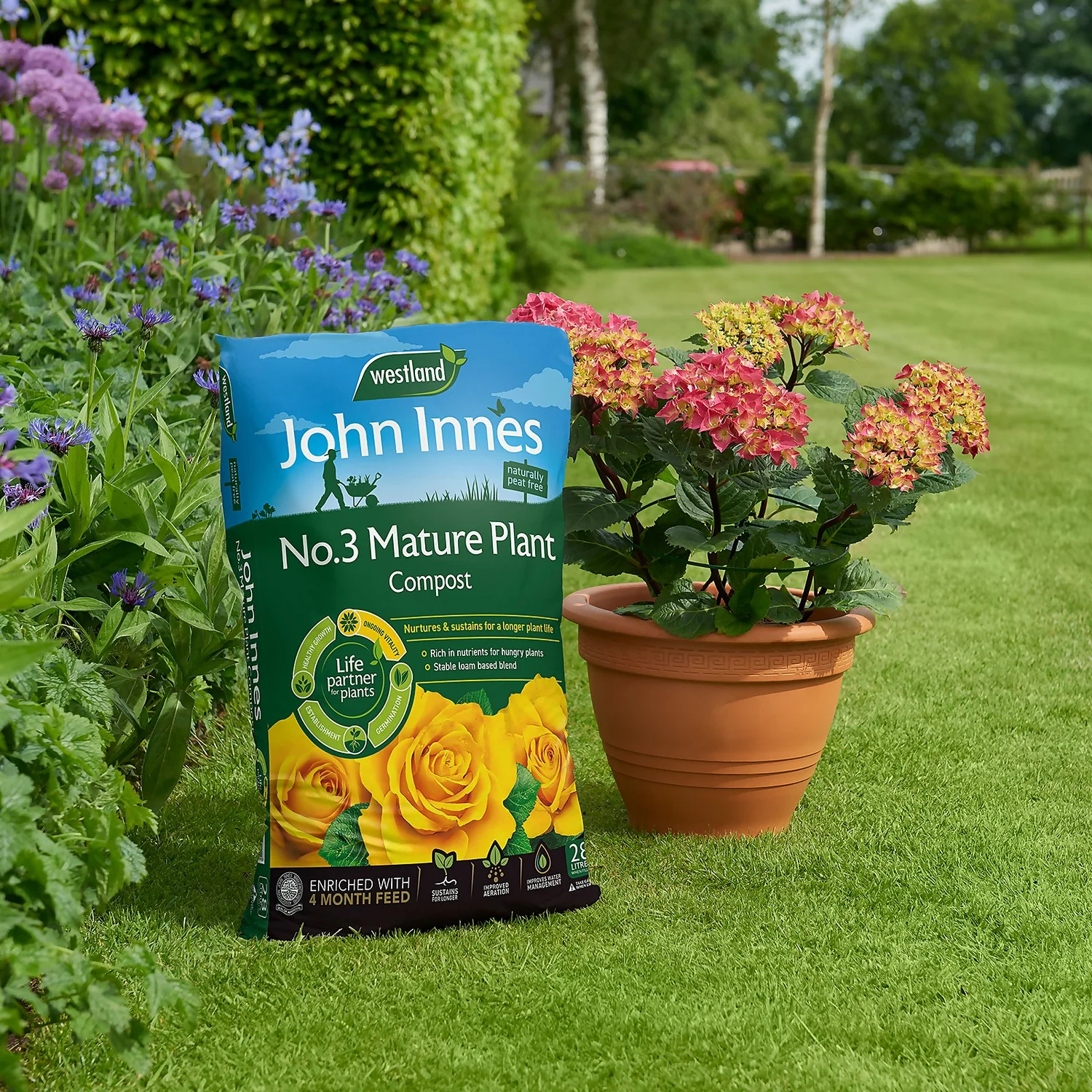 Westland John Innes Peat Free No.3 Mature Plant Compost 28L 4 Westland John Innes Peat Free No.3 Mature Plant Compost 28L - Image 2