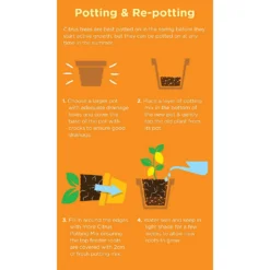 Westland Citrus Potting Mix Peat Free 8L 7 Westland Citrus Potting Mix Peat Free 8L -Garden Care Specialty Shop 14013785 1645003754507372