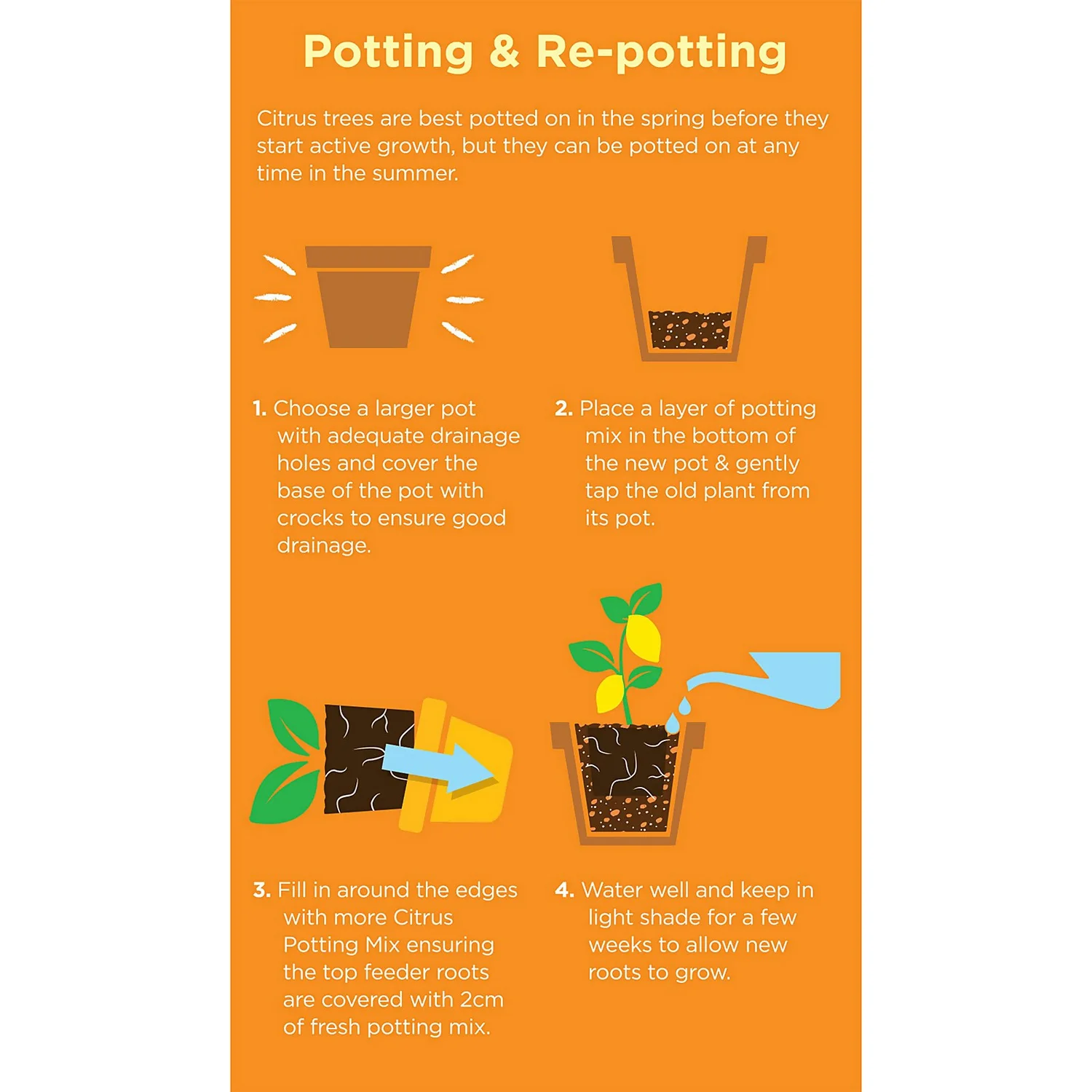 Westland Citrus Potting Mix Peat Free 8L 5 Westland Citrus Potting Mix Peat Free 8L - Image 3