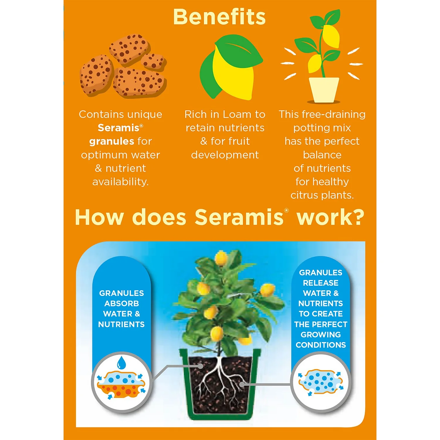 Westland Citrus Potting Mix Peat Free 8L 4 Westland Citrus Potting Mix Peat Free 8L - Image 2