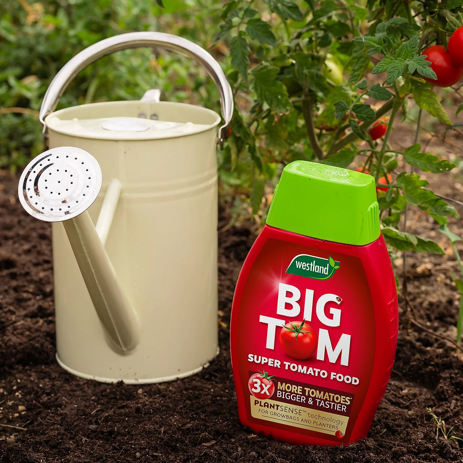 Westland Big Tom Super Tomato Food 4 Westland Big Tom Super Tomato Food - Image 2